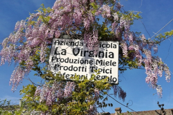 Azienda Agr. 